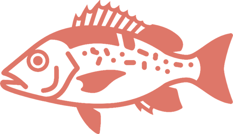 Ilustración de pargo