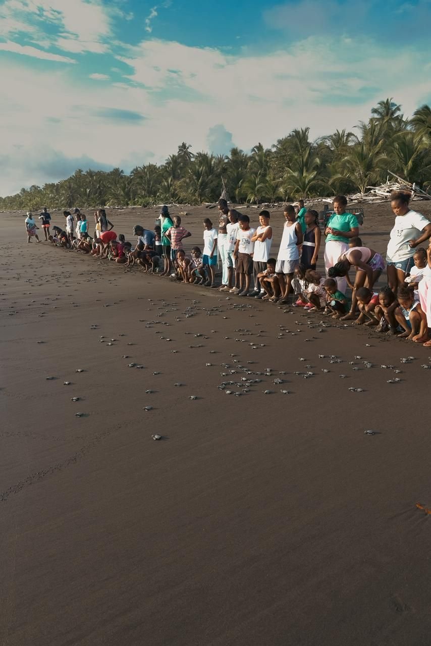 Liberación de tortugas marinas acompañada por la comunidad